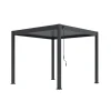 Orion Deluxe terrasoverkapping 300 x 300 cm antraciet