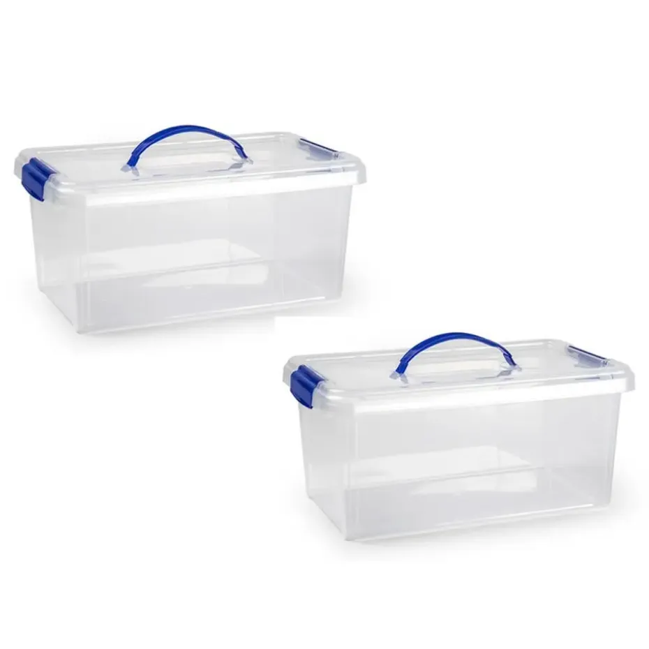 Plastic Forte Opslagbak - met deksel - 10 liter - transparant