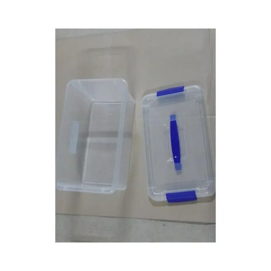 Plastic Forte Opslagbak - met deksel - 10 liter - transparant
