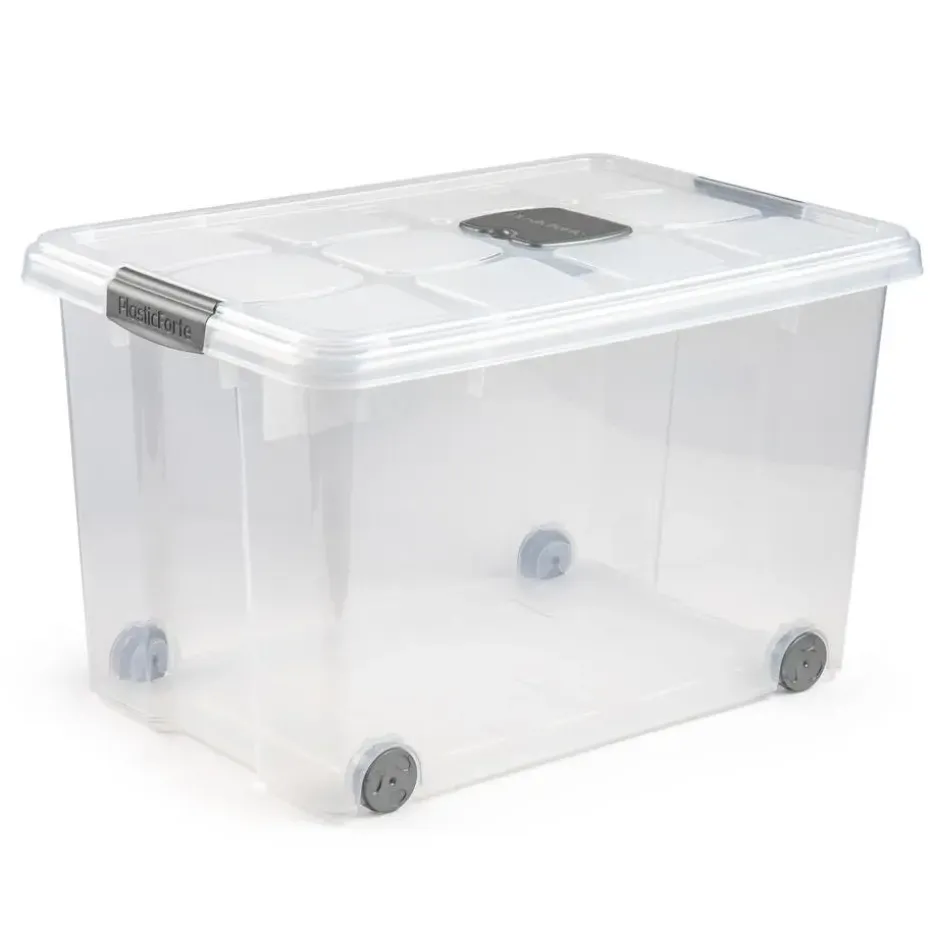 Plasticforte Opslagbak met deksel - 1x - 55L - 59 x 40 x 35 cm