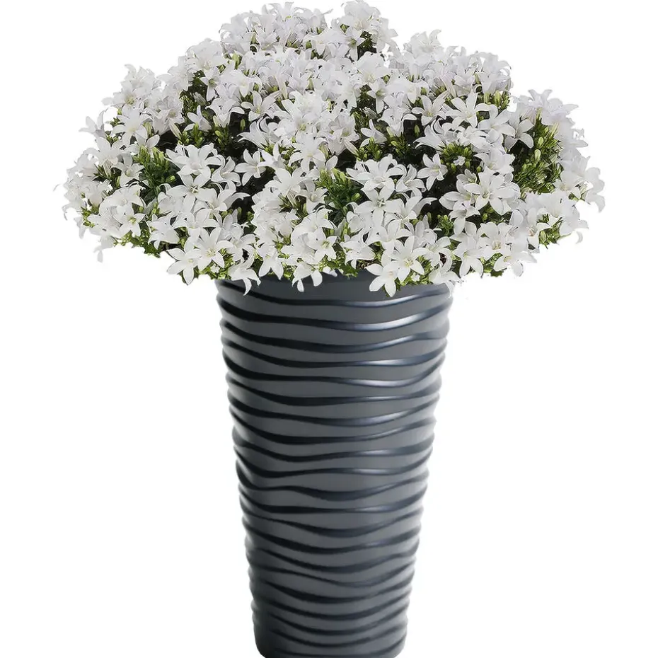Prosperplast Bloempot Sand - antraciet - kunststof - D30 x H52 cm