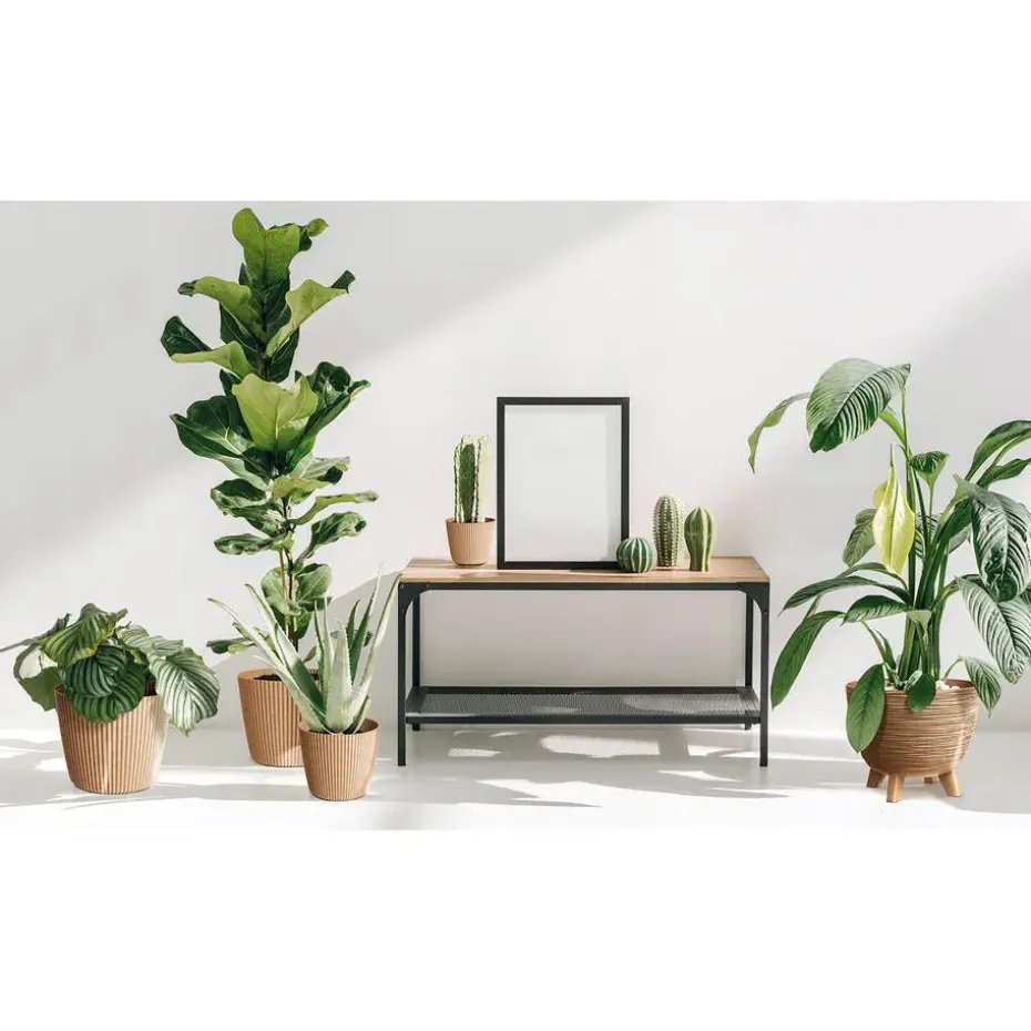 Prosperplast Plantenpot Buckingham - dennen groen - D34 cm