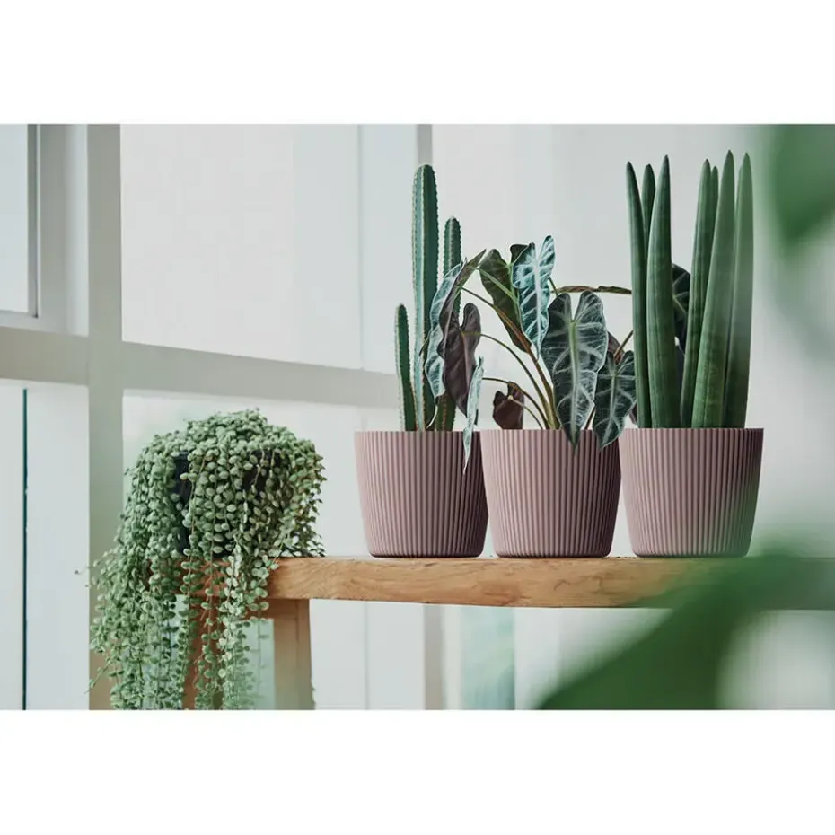 Prosperplast Plantenpot Buckingham - antraciet - D39 cm