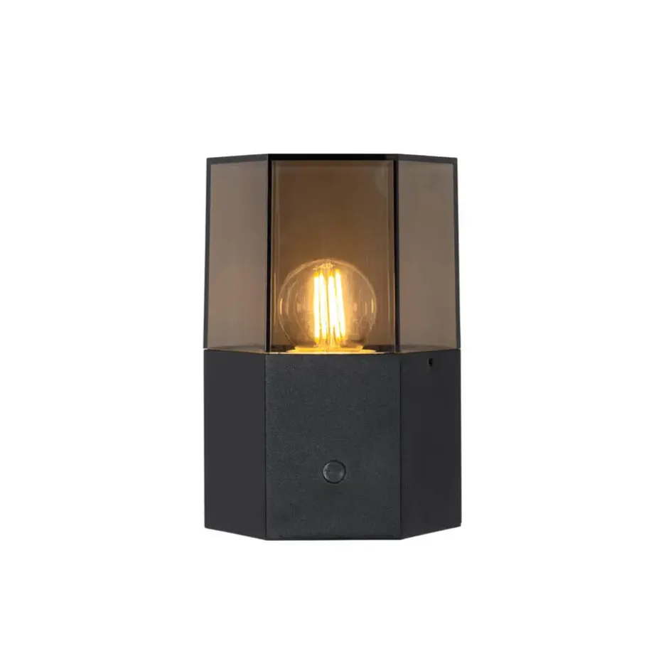 Qazqa buitenlampen met sensor denmark zwart e27