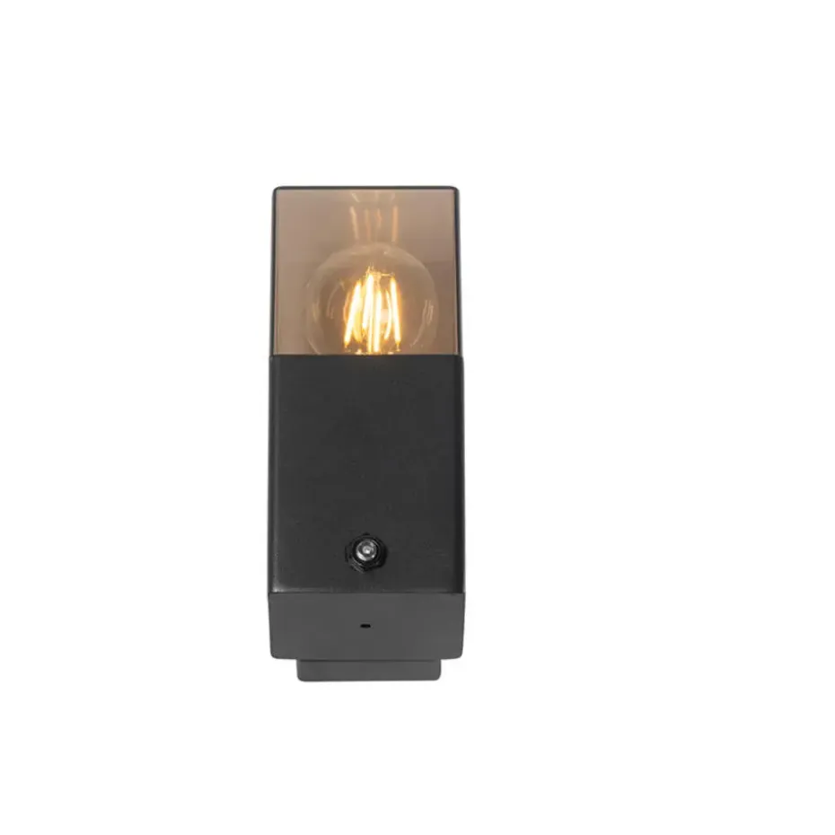 Qazqa buitenlampen met sensor denmark zwart e27
