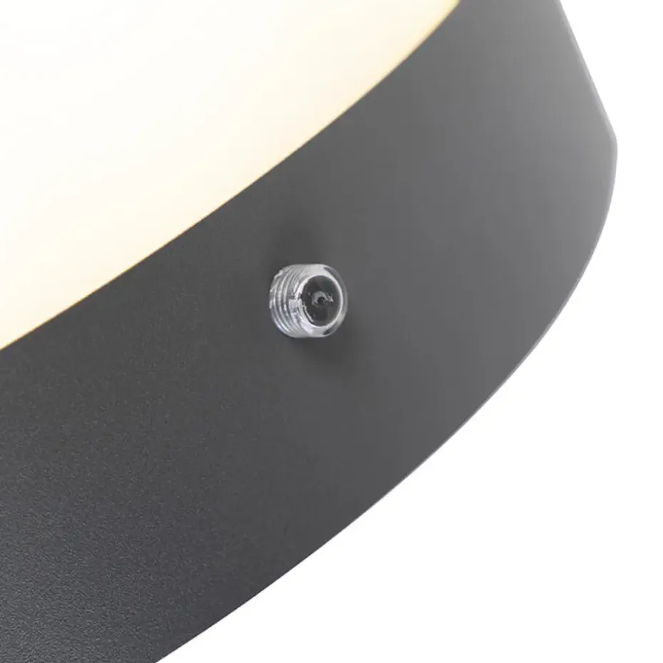 Qazqa buitenlampen met sensor emmerald grijs e27