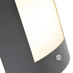 Qazqa buitenlampen met sensor emmerald grijs e27