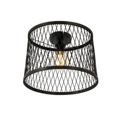Qazqa plafondlampen buiten calamus zwart e27