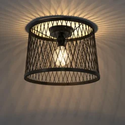 Qazqa plafondlampen buiten calamus zwart e27