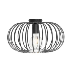 Qazqa plafondlampen johanna zwart e27