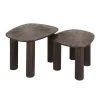 Salontafel - Vierhoekig - Set Van 2 - Teakhout - Maya