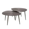 Salontafel Brons Metaal - Set Van 2 - 76x61x43cm - Ray