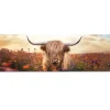 Schilderij Lente schotse hooglander - 52 x 156cm - Bruin