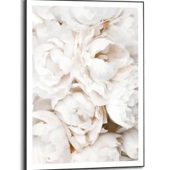 Schilderij Witte rozen - 70 x 50cm - Wit