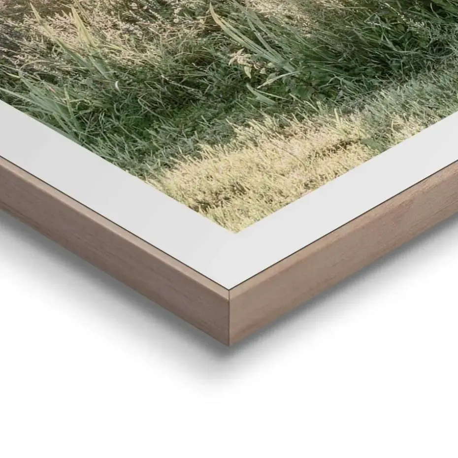 Set poster met lijst - Nature Vibe
