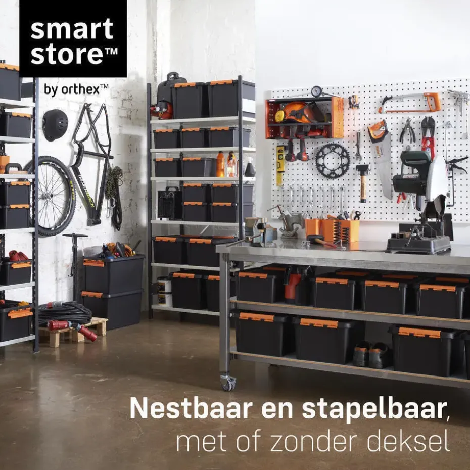 SmartStore Stevige Opbergbox 31L Set van 2 - 50x39x26cm