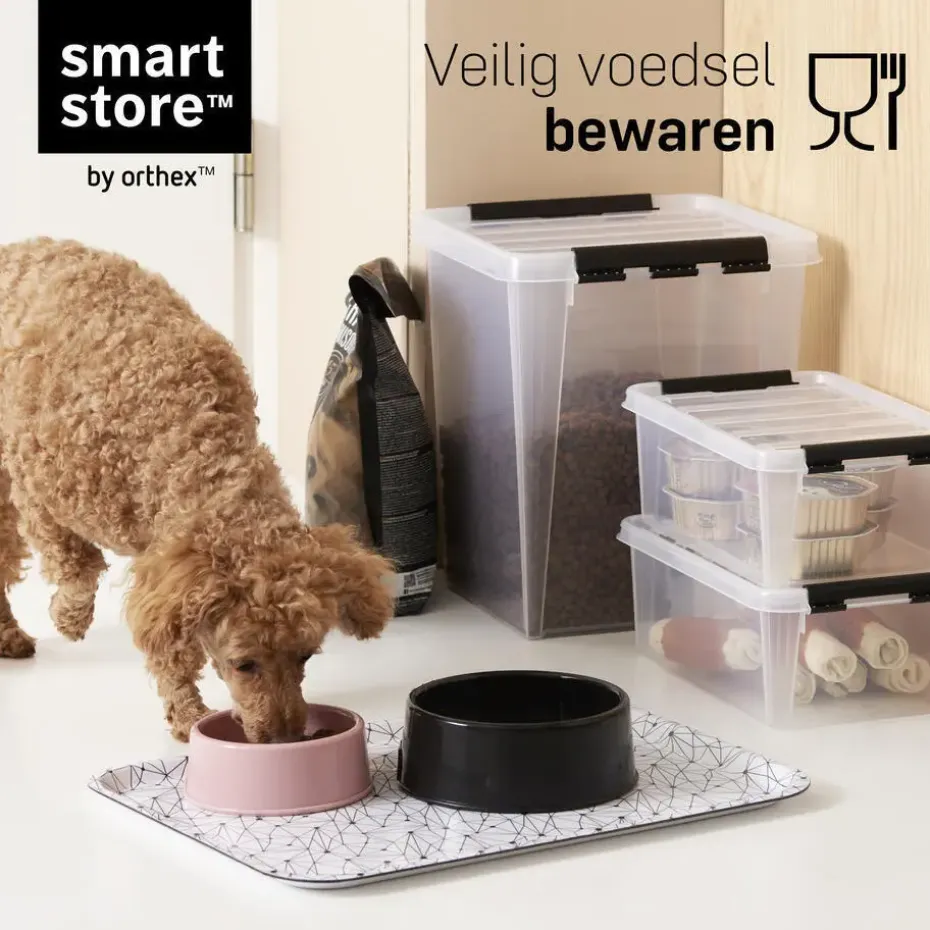 SmartStore Stevige Opbergbox 14L Set van 6 - 40x30x18cm