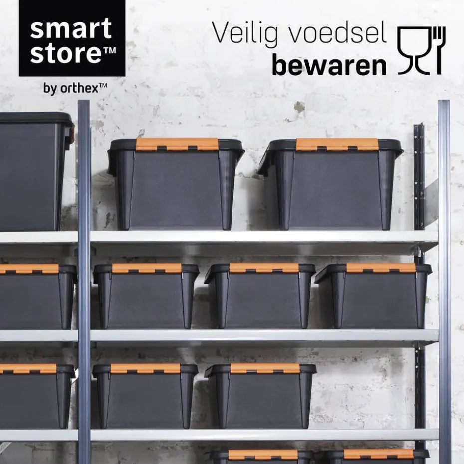 SmartStore Stevige Opbergbox 14L Set van 2 - 40x30x18cm