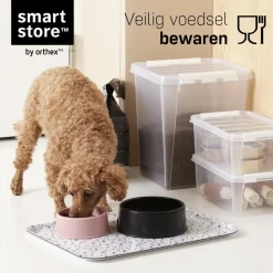 SmartStore Stevige Opbergbox 14L Set van 10 - 40x30x18cm