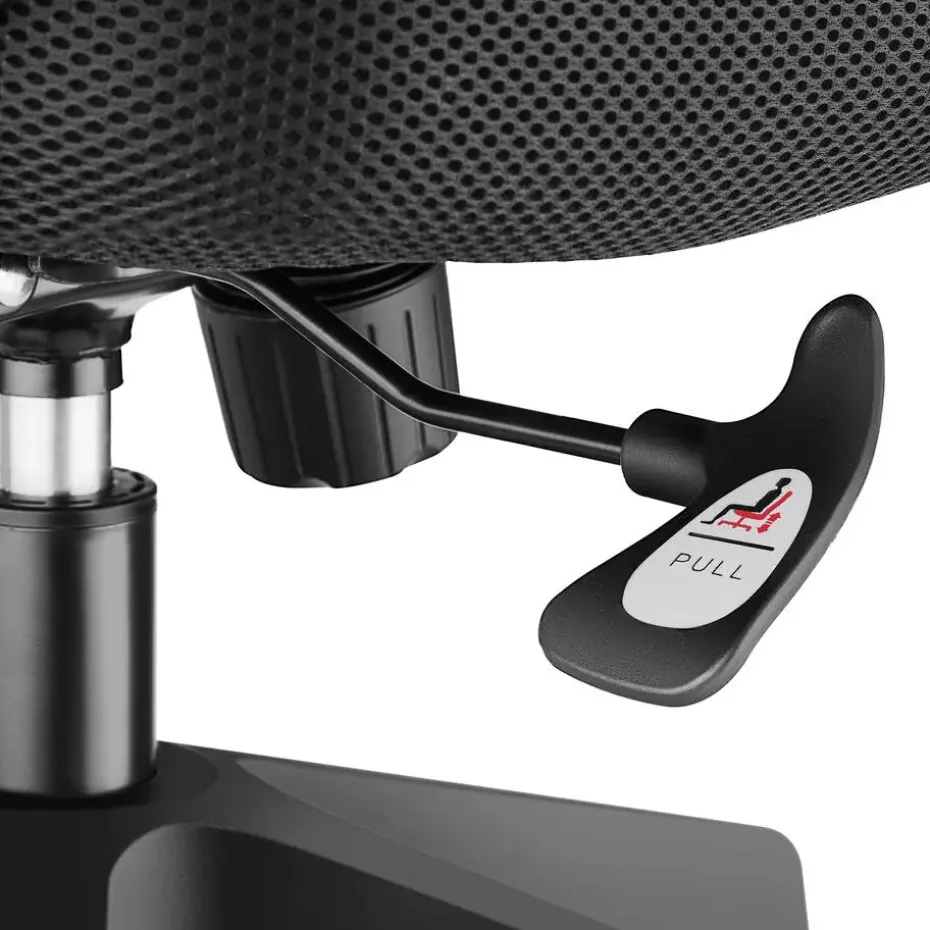 tectake Bureaustoel Phoibe ergonomisch met verstelbare hoofdsteun, Zwart