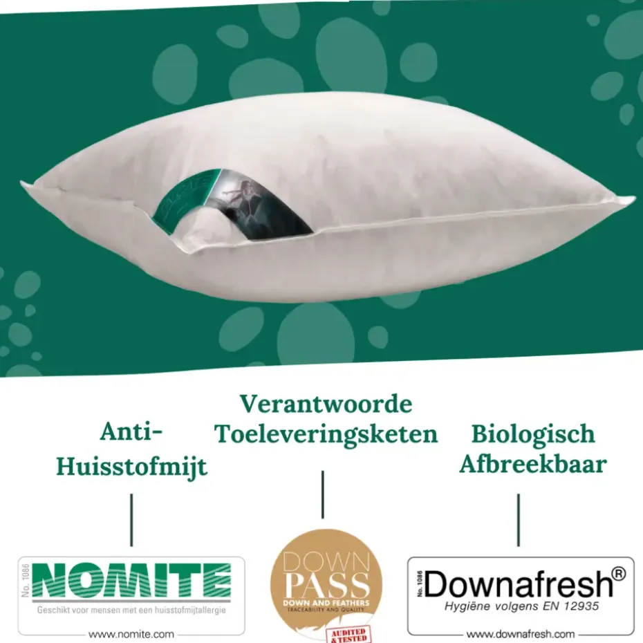 Ten Cate 100% Eendenveren Hoofdkussen - 60x70