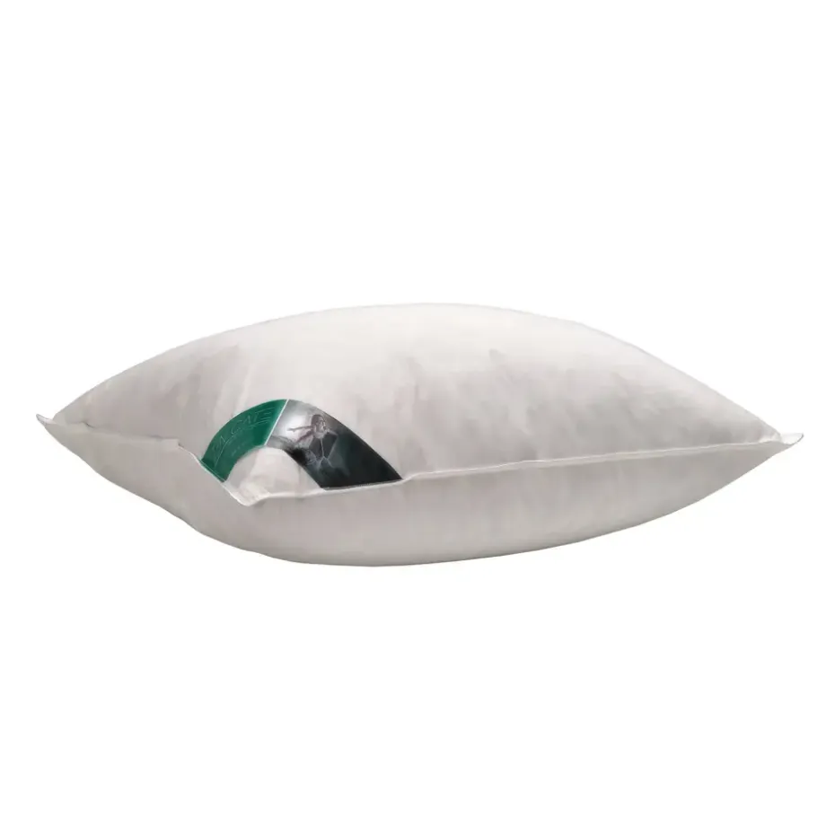 Ten Cate 100% Eendenveren Hoofdkussen - 60x70