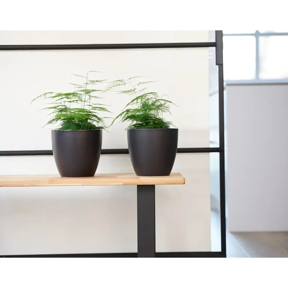 Ter Steege Bloempot - zwart - Scandinavisch - 16 x 18 cm