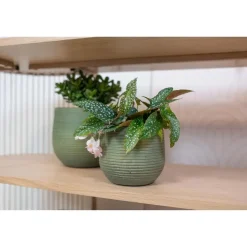 Ter Steege Plantenpot - keramiek - donkergroen - stripes -31x28cm