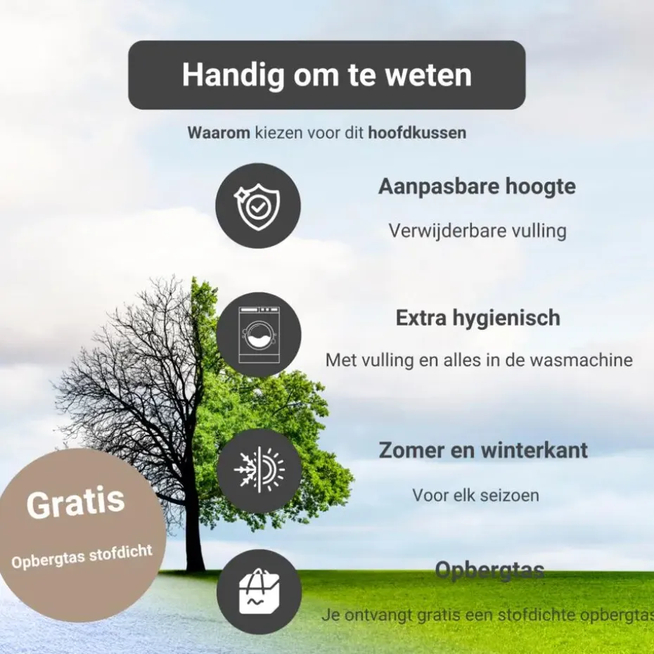 Troonz Verkoelend Hoofdkussen One - 80x80 cm