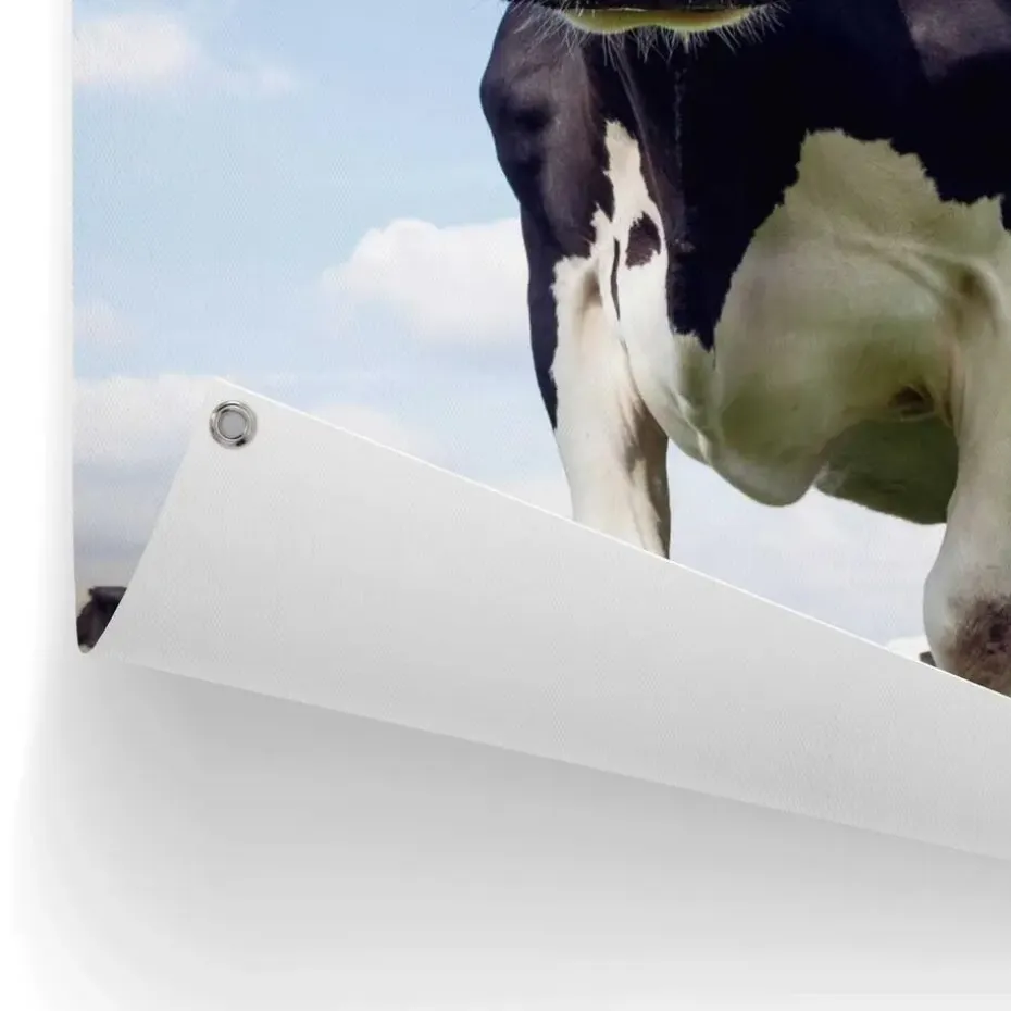 Tuinposter Dutch Cow - 80 x 60cm - Groen