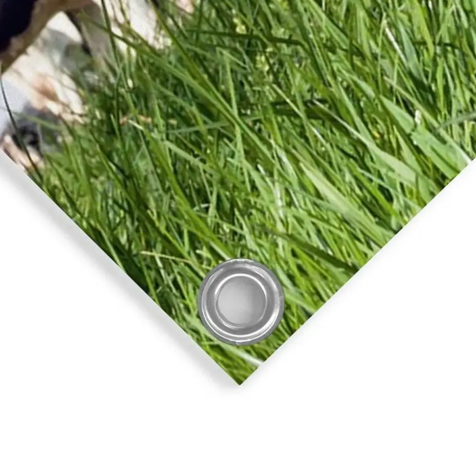 Tuinposter Dutch Cow - 80 x 60cm - Groen