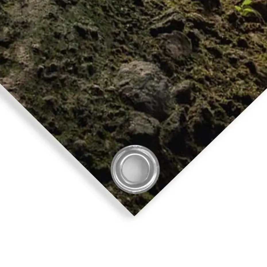 Tuinposter Grot - 100 x 140cm - Bont