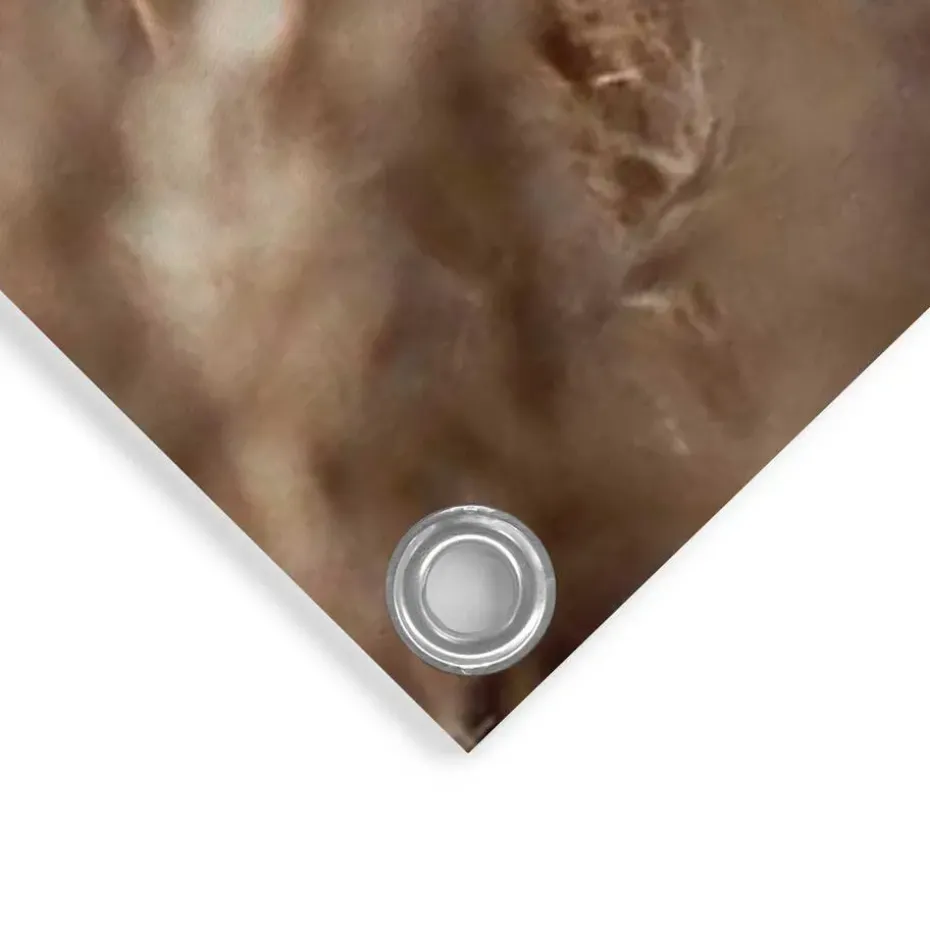 Tuinposter Helmgras - 120 x 80cm - Beige