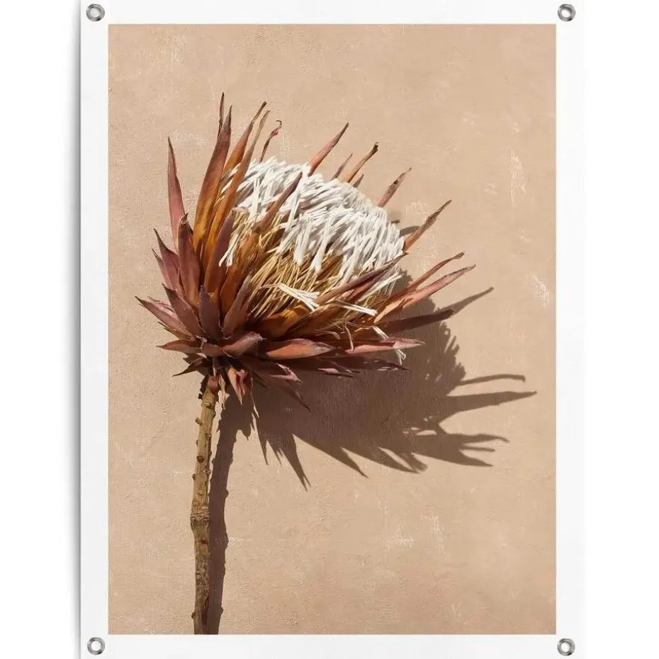 Tuinposter Schaduw bloem - 80 x 60cm - Bruin