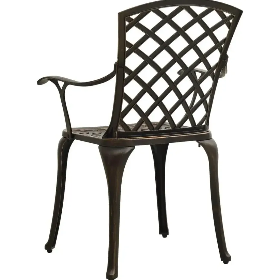 vidaXL - Bistroset - Bruin - Aluminium