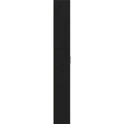vidaXL - 2-deurs Kledingkast met planken - Hout - Zwart eiken - 55x25x189 cm