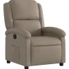 vidaXL - Fauteuil - Bruin - Kunstleer