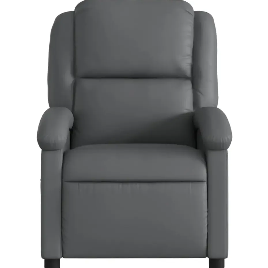 vidaXL - Fauteuil - Grijs - Kunstleer