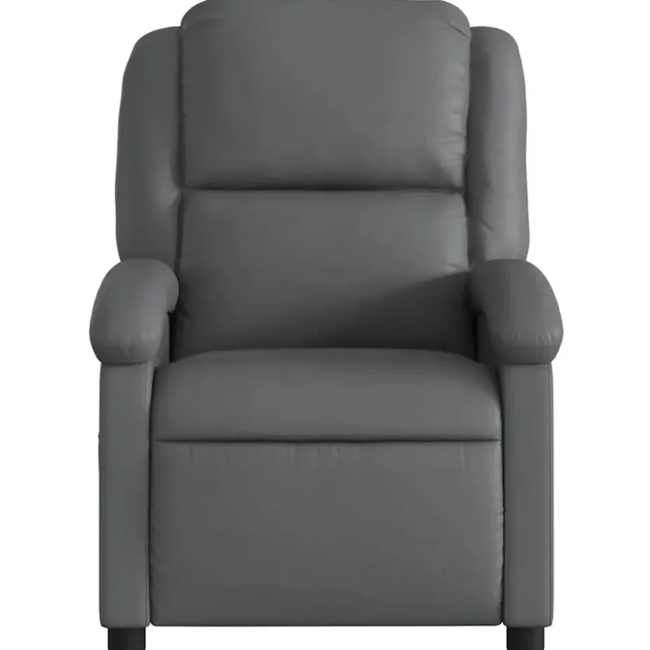 vidaXL - Fauteuil - Grijs - Kunstleer