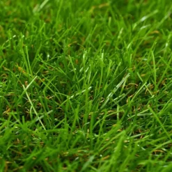 vidaXL - Kunstgras - Groen - Polypropyleen - 1 x 10 m