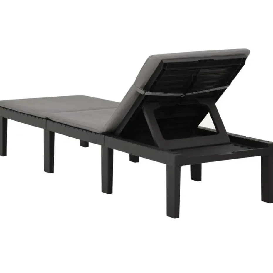 vidaXL - Ligstoel - Antraciet - Kunststof