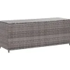 vidaXL - Opbergkist - Grijs - Poly rattan