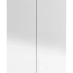 vidaXL - Spiegelkast - Zwart - MDF