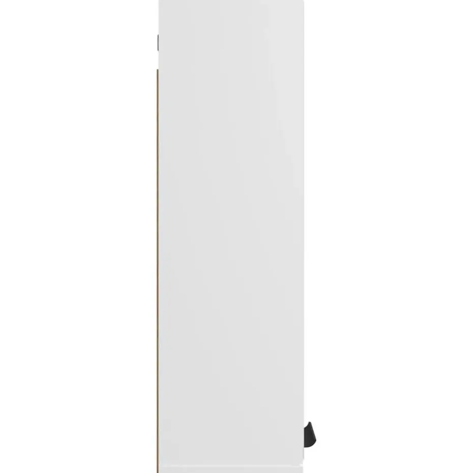 vidaXL - Spiegelkast met plank - Wit - Bewerkt hout en acryl - 64x20x67 cm