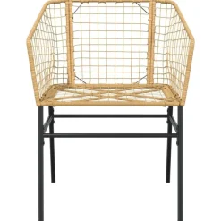 vidaXL - Terrasstoel - Bruin - Poly rattan en staal - 2 stuks