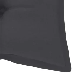 vidaXL - Tuinbank - Antraciet - Bamboe - 120 cm - Met kussen
