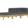 vidaXL - Tuinbank 2-zits - Bruin - Hout - Met kussens en voetenbank
