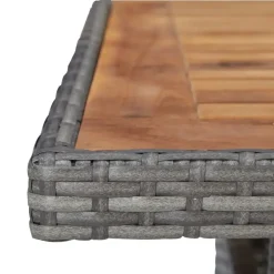 vidaXL - Tuinset - Grijs - Poly rattan