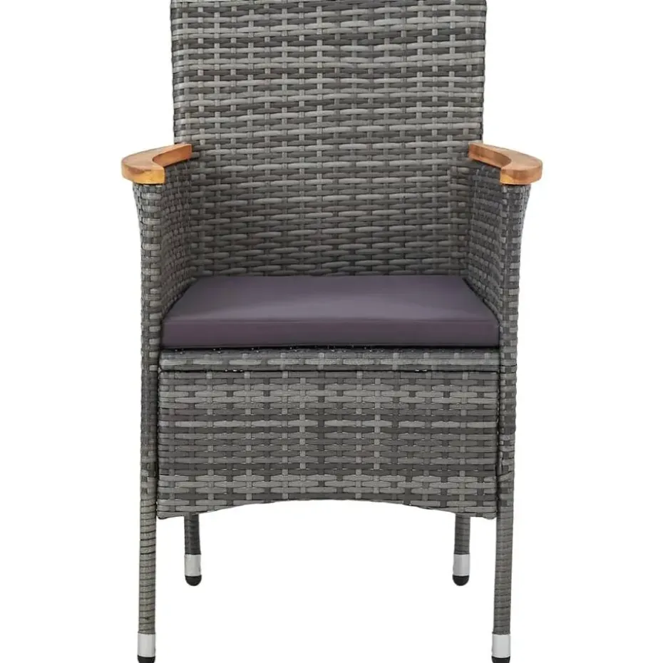 vidaXL - Tuinset - Grijs - Poly rattan