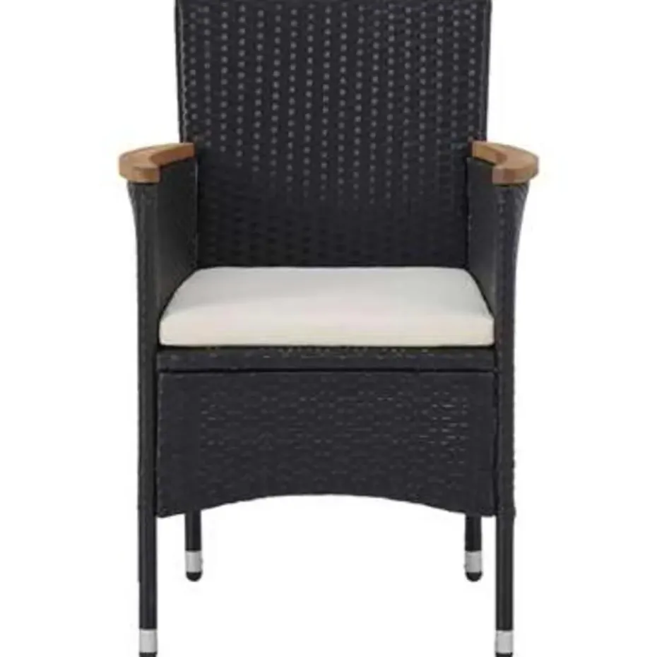vidaXL - Tuinset - Zwart - Rattan